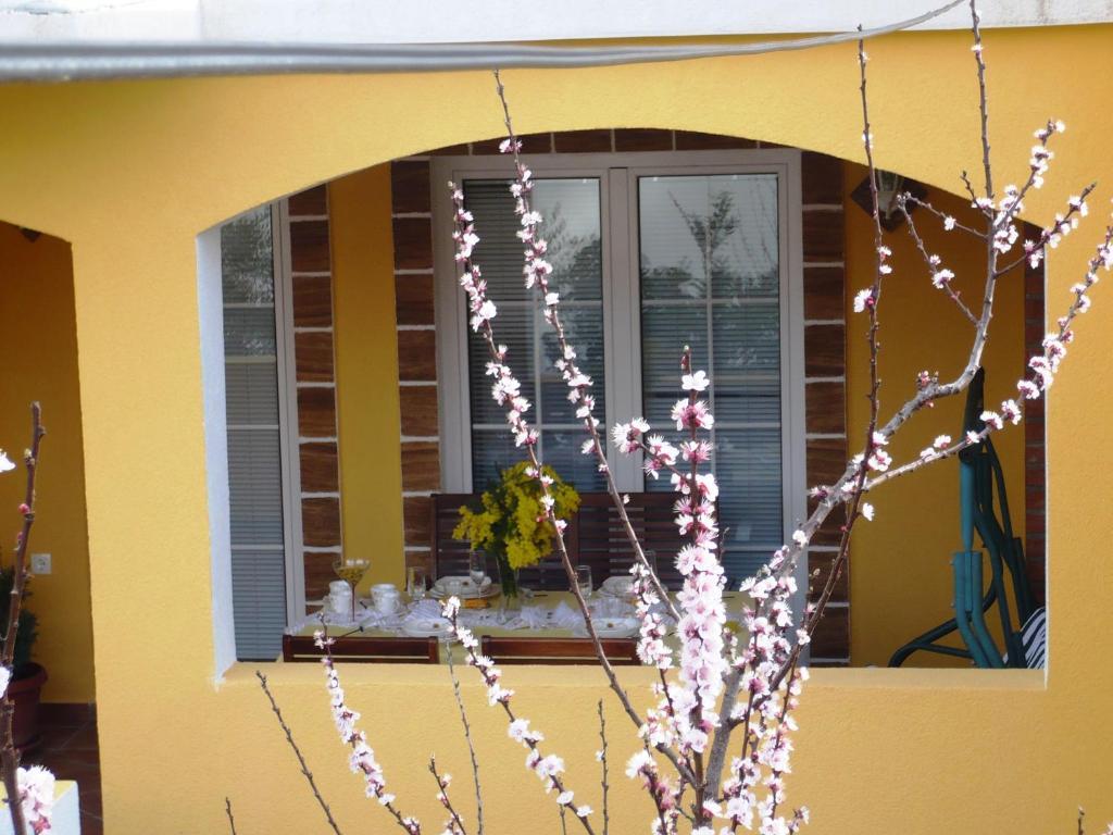 Apartments Brac Supetar Room photo